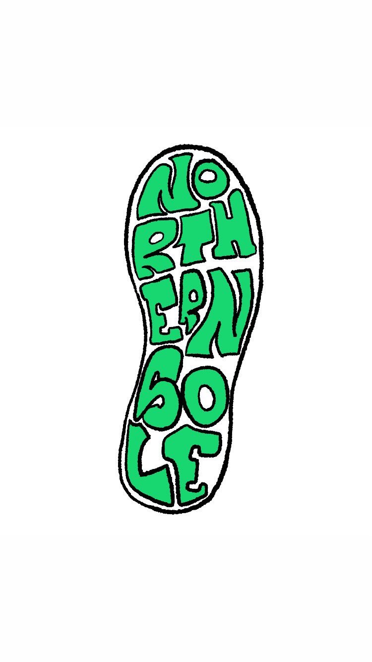 Northern Sole project logo